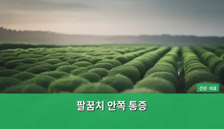 팔꿈치 안쪽 통증 원인과 관리 방법 정리