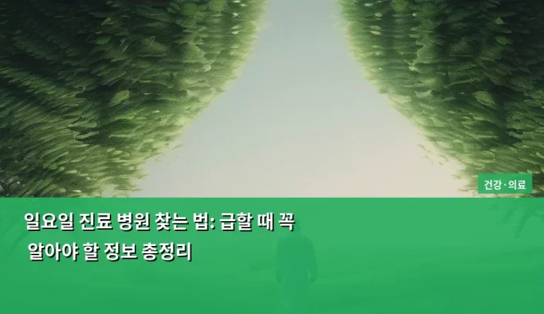 일요일 진료 병원 찾는 법: 급할 때 꼭 알아야 할 정보 총정리