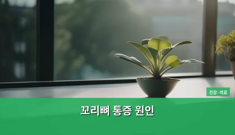 꼬리뼈 통증 원인 및 관리 방법 총정리