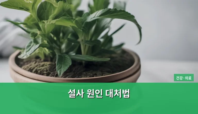 설사 원인 대처법 및 증상별 관리 가이드