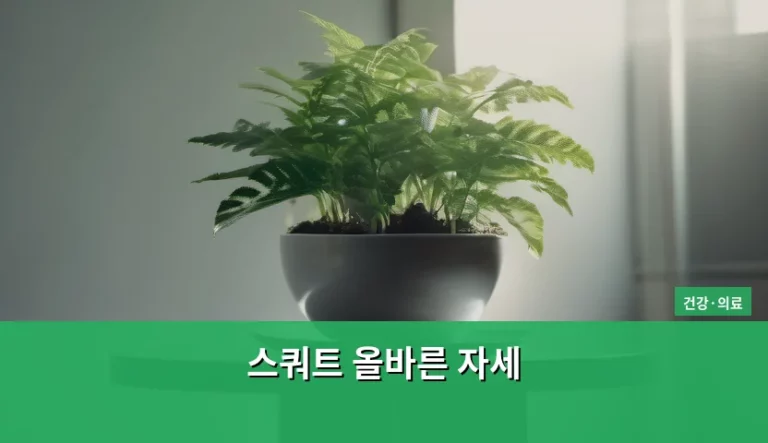 스쿼트 올바른 자세와 부상 방지 가이드