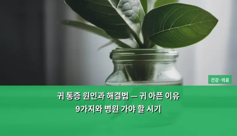 귀 통증 원인과 해결법 — 귀 아픈 이유 9가지와 병원 가야 할 시기
