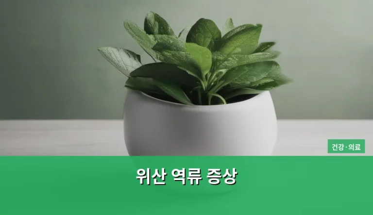 위산 역류 증상 원인과 관리 방법 정리