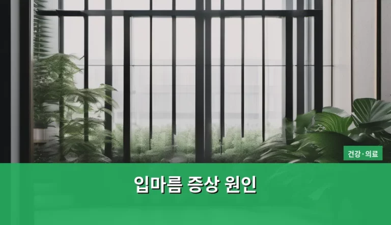입마름 증상 원인 파악과 관리 방법