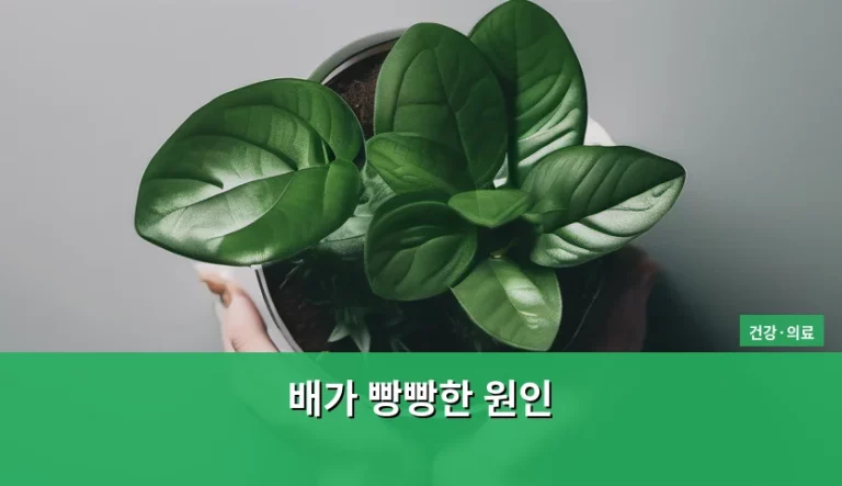 배가 빵빵한 원인과 복부 팽만감 해결 방법