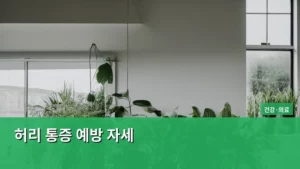 거북목과 오래 앉아도 괜찮아? 허리 통증 예방 자세 A to Z