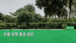 무릎 뒤쪽 통증, 왜 생기는 걸까? 주요 원인과 관리법 총정리