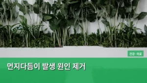 싱크대부터 옷장까지, 먼지다듬이 발생 원인 제거 완벽 가이드
