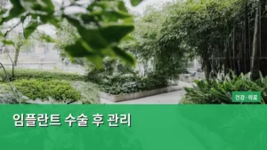 임플란트 수술 후 관리, 성공적인 회복을 위한 필수 지침