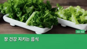 장 건강 지키는 음식으로 활력 되찾기 가이드