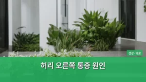 오른쪽 허리 통증, 혹시 이런 원인일까? 허리 오른쪽 통증 원인 완벽 가이드