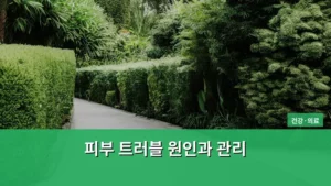 건강한 피부를 위한 깊이 있는 이해: 피부 트러블 원인과 관리 방법