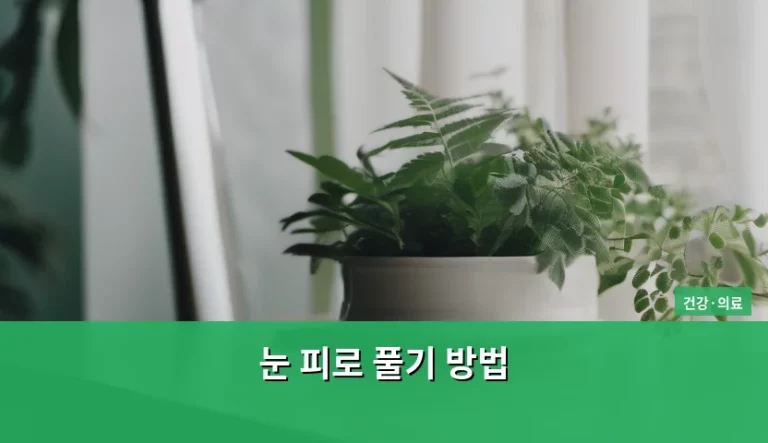 눈 피로 풀기 방법, 침침한 눈을 맑게 만드는 생활 습관 가이드