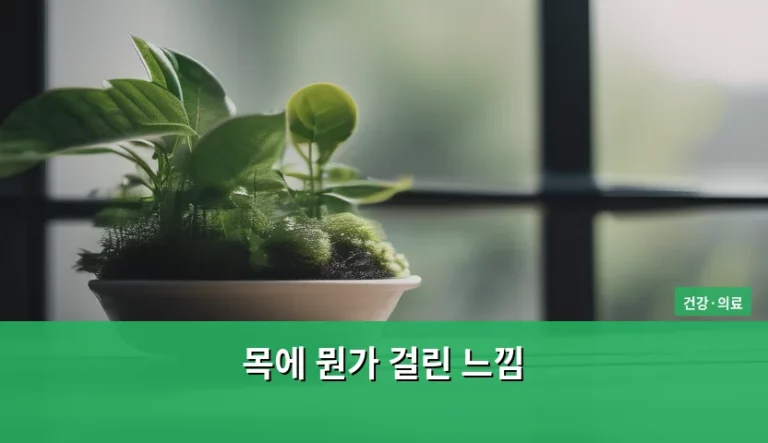 목에 뭔가 걸린 느낌 원인과 관리 방법