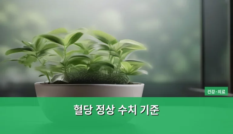 혈당 정상 수치 기준 및 관리 방법 정리
