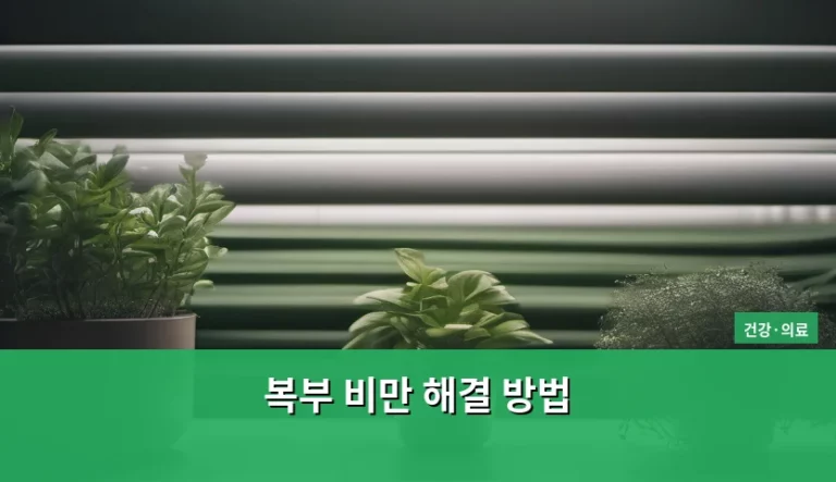 복부 비만 해결 방법 및 관리 가이드