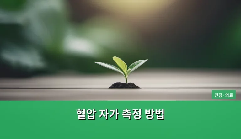 정확한 혈압 자가 측정 방법 및 주의사항 가이드