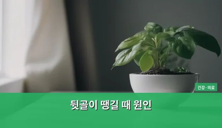 뒷골이 땡길 때 원인과 대처 방법 정리