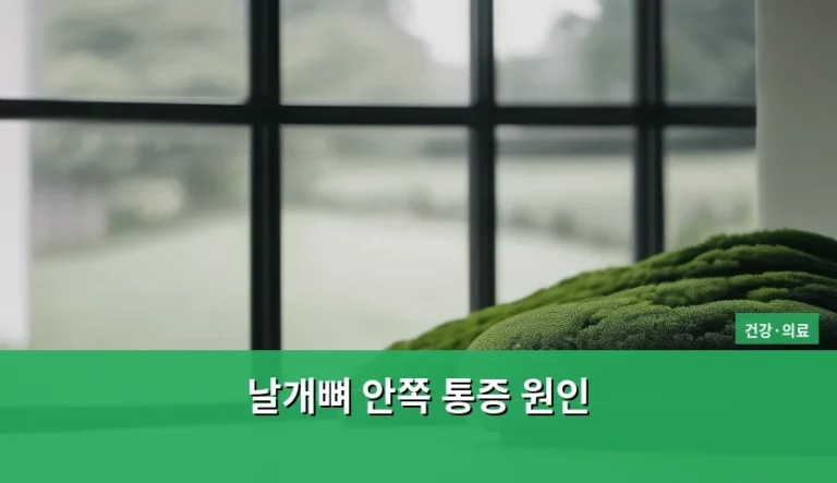 날개뼈 안쪽 통증 원인 및 관리 방법 정리