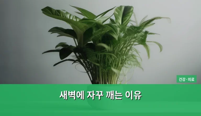 새벽에 자꾸 깨는 이유와 수면 장애 극복 방법