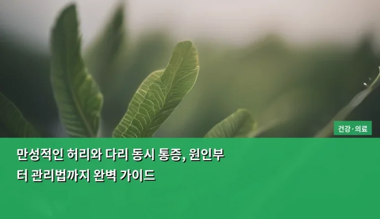 만성적인 허리와 다리 동시 통증, 원인부터 관리법까지 완벽 가이드