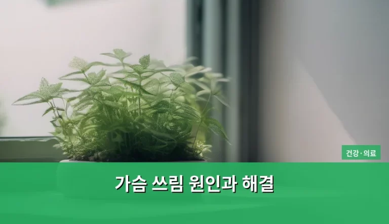 가슴 쓰림 원인과 해결 방법 및 생활 습관 가이드