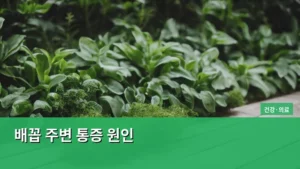 배꼽 주변 통증 원인, 나도 알아야 할 생활 속 건강 정보들
