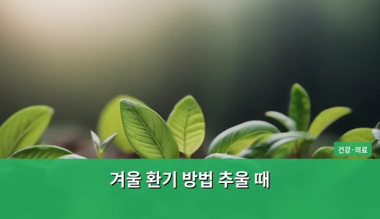 겨울 환기 방법 추울 때 실내 공기 관리 노하우