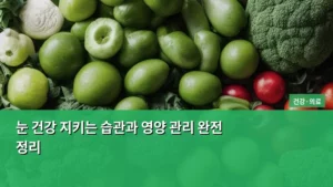 눈 건강 지키는 습관과 영양 관리 완전 정리