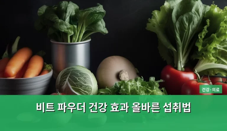 비트 파우더 건강 효과 올바른 섭취법 정리
