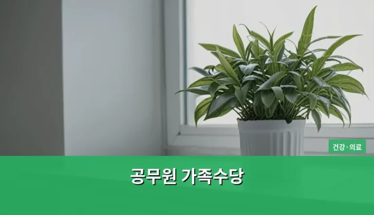 공무원 가족수당 지급 대상과 신청 방법 가이드
