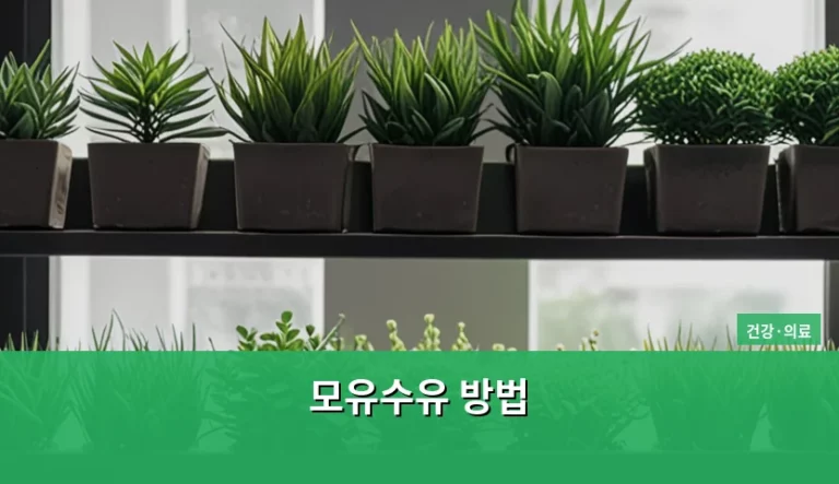 초보 엄마를 위한 모유수유 방법과 단계별 실천 가이드