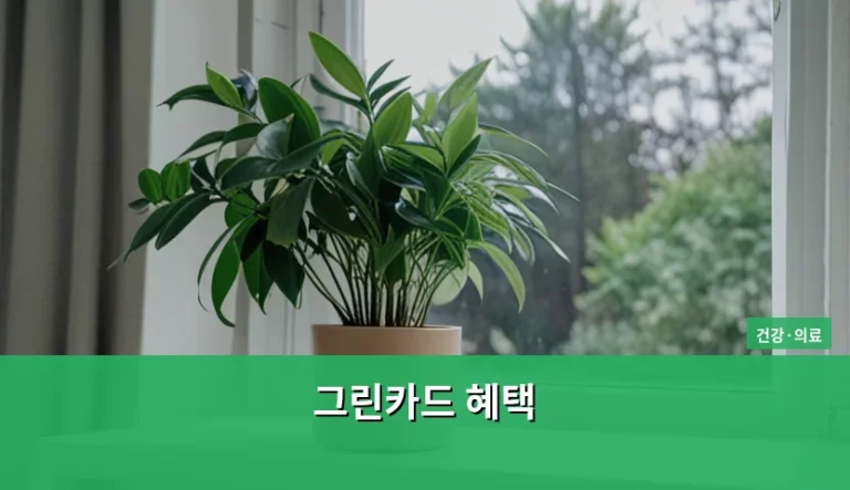그린카드 혜택 활용한 친환경 건강 생활 실천법