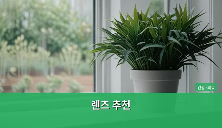 시력 맞춤형 콘택트렌즈 추천 및 올바른 선택 가이드
