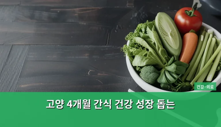 고양 4개월 간식 건강 성장 돕는 선택 가이드