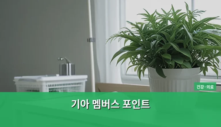 기아 멤버스 포인트 활용한 운전자 건강 관리법