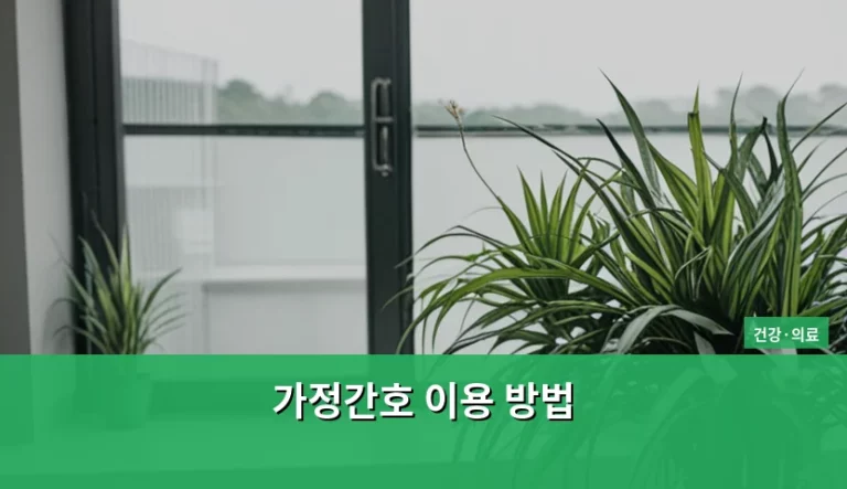 가정간호 이용 방법 및 신청 절차 상세 가이드