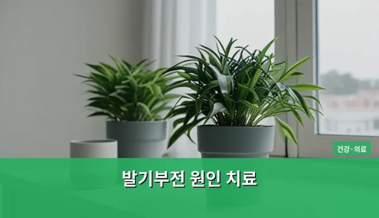 발기부전 원인 치료 방법과 단계별 관리 가이드