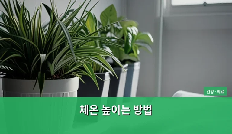 면역력 강화에 도움 되는 체온 높이는 방법과 생활 습관