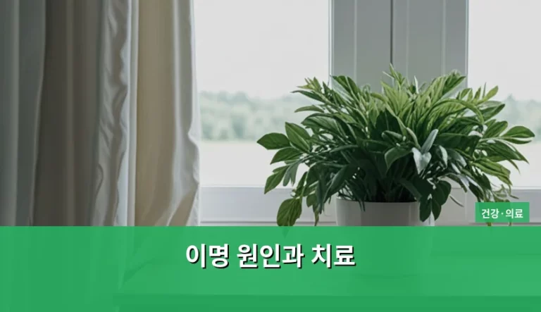 이명 원인과 치료 방법 및 증상 완화 가이드