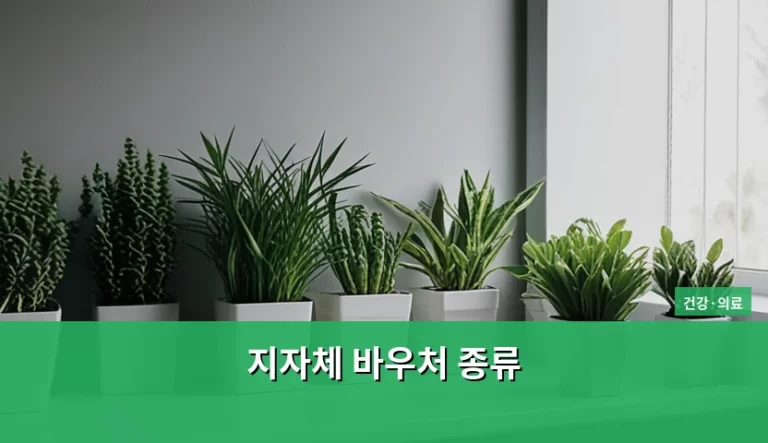 지자체 바우처 종류 및 건강 의료 지원 혜택 정리