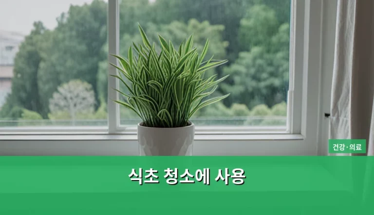 화학 세제 대신 식초 청소에 사용 하는 법과 건강 이점