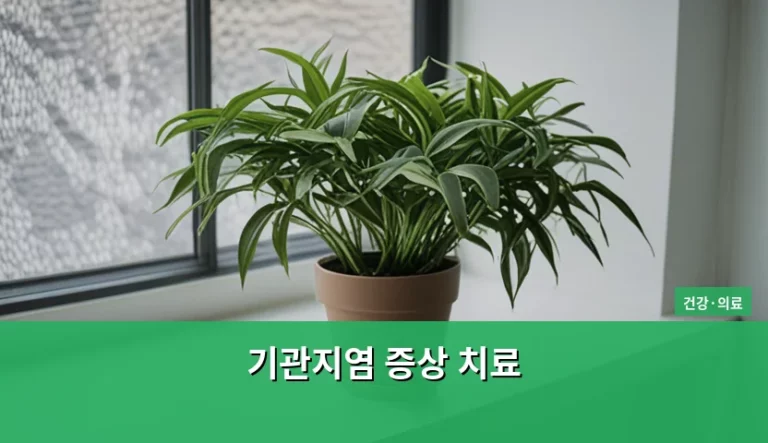 기관지염 증상 치료 방법과 회복을 위한 관리 가이드