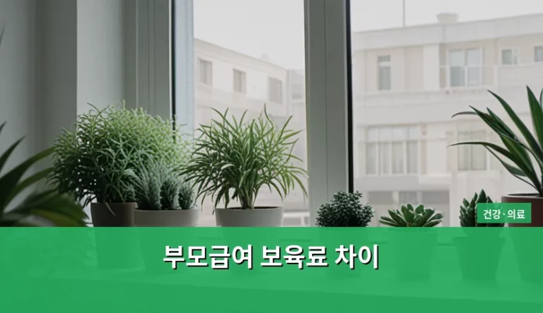 부모급여 보육료 차이와 상황별 선택 가이드
