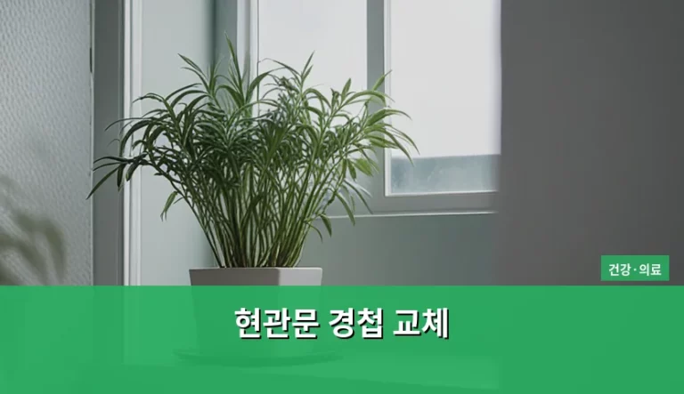 현관문 경첩 교체 방법과 신체 안전 주의사항