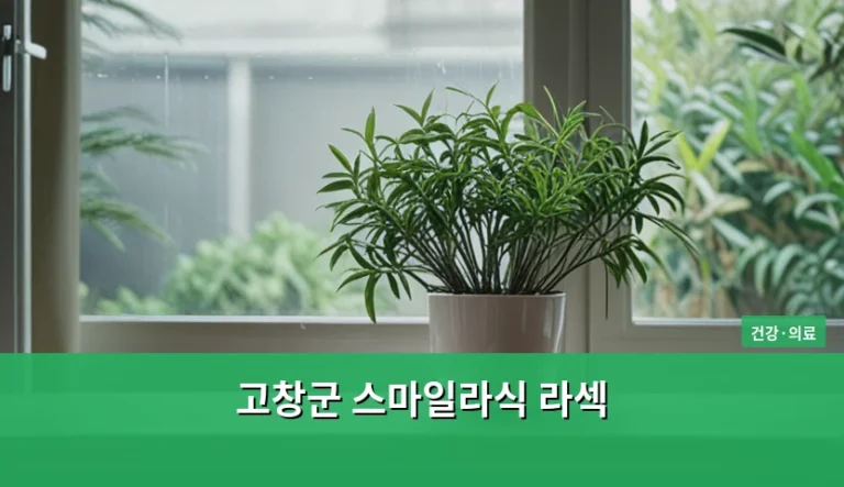 고창군 스마일라식 라섹 선택 시 고려할 점과 특징