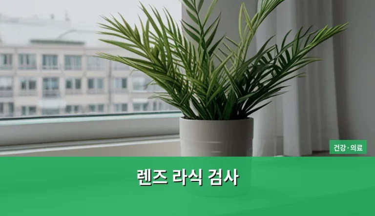 렌즈 라식 검사 전 주의사항과 정밀 검사 항목 가이드