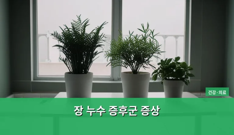 장 누수 증후군 증상 특징과 건강한 장 회복 가이드
