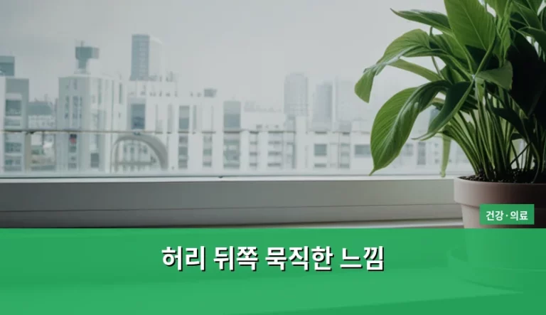 허리 뒤쪽 묵직한 느낌 원인과 관리 방법 안내