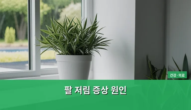 팔 저림 증상 원인과 부위별 의심 질환 분석